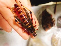 -汇成兔子头店(沂水特色店)