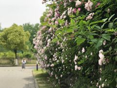 -江南大学(蠡湖校区)
