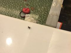 -一闻香迷宗蟹(金华江南店)