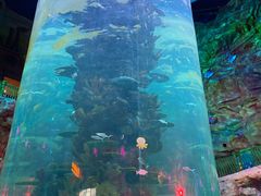 -青岛嘉年华主题乐园