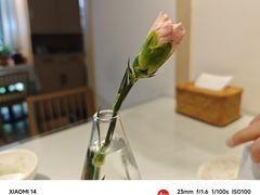 -茶花妹子云南餐厅(北大店)