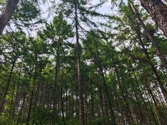-萨尔浒风景区