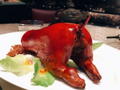 乳猪焗饭-8餐厅(新葡京酒店)