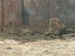 -昆明动物园