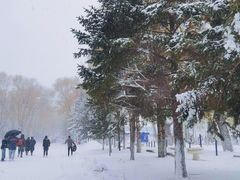-黑龙江大学