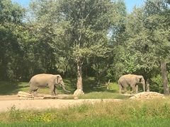 -北京野生动物园