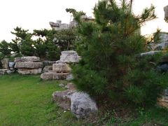 -宿豫区运河湾森林动物园