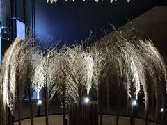 -無用生活空间(北京店)