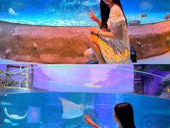 -沈阳海洋探索中心