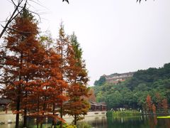 -重庆彩云湖湿地公园