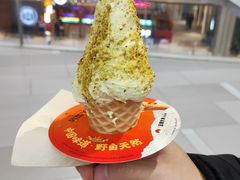 -野人先生现做冰淇淋(北京环宇荟店)