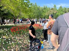 -长春公园(普阳街道)