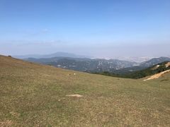-大姆山草场