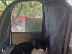 -艾贝尔宠物医院 ·中兽医·宠保定点(北门桥店)