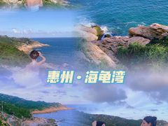 -广东惠东海龟国家级自然保护区