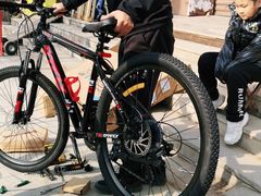 -道路口单车爱瓦士dahon大行