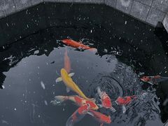 -西安市广仁寺