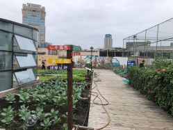 -梦田都市农场(银泰城店)