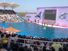 -北戴河圣蓝海洋公园