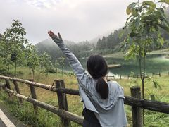 -武陵山森林公园