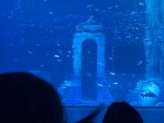 -南昌融创海世界