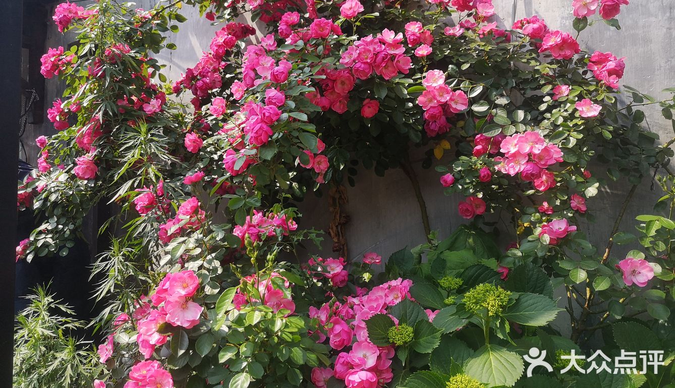 五一假期害怕人太多选择了就近的古镇来玩！