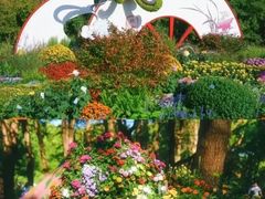 -共青国家森林公园-售票处