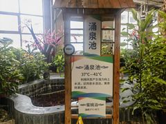 -兴芮温泉度假区