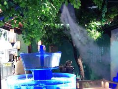 -佬麻雀·剁椒鱼头(京基KK One店)