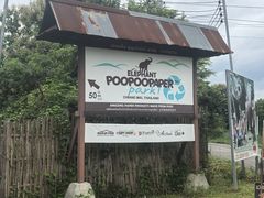-大象粑粑造纸公园