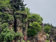 -王莽岭风景区