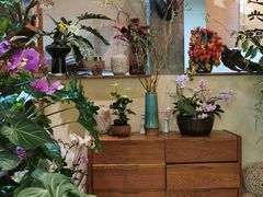-花二家·生活馆(六运小区店)