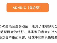 -金色雨林学习力培优(专注力提升)