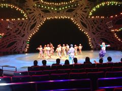 -珠海横琴长隆《卡卡虎奇遇记》