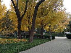 -玲珑塔公园