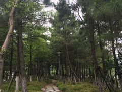 -苏州太湖国际会议中心