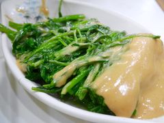 腐乳通菜-文辉墨鱼丸大王(铜锣湾渣甸街总店)