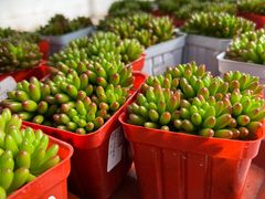 -兴芮温泉度假区