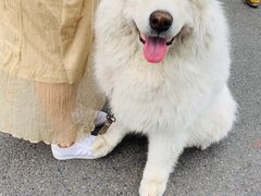 -仰生如卉推拿养生馆(酒仙桥店)
