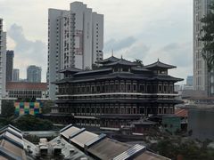 -新加坡佛牙寺龙华院