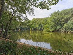 -灵谷景区