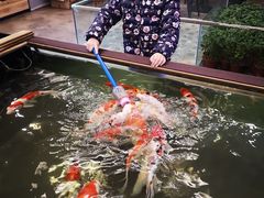 -趣陶陶艺手工坊(新世界百货重庆店)