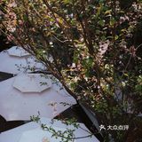 昆明探店·大隐于市的咖啡厅☕️