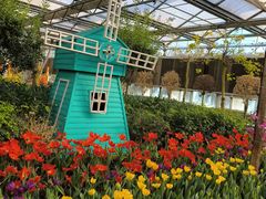 -南宫五洲植物乐园