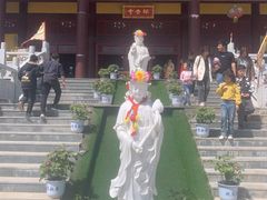 -曹州牡丹园