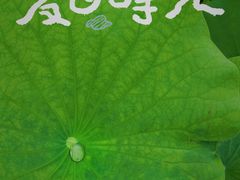 -嘉北郊野公园