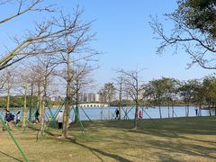 -顺峰山公园