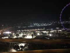 -新加坡丽思卡尔顿美年酒店