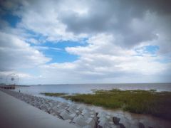 -碧海金沙