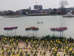 -荷兰花海
